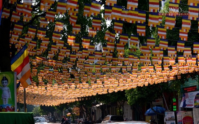 Khong khi Phat dan (16).jpg