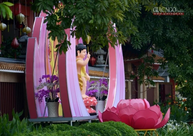 Khong khi Phat dan (7).jpg