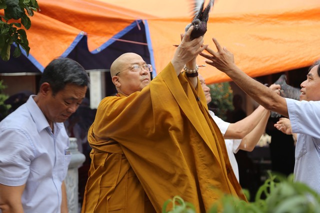 Chùa Linh Quang và Đại Bi tổ chức Đại lễ Phật đản ảnh 4 img_6519_jpg.jpg