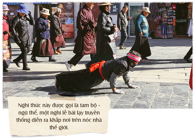 tay-tang-03-15266975364891028654811_png.png
