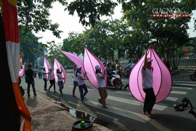 hathuy7sen (14 of 28).jpg