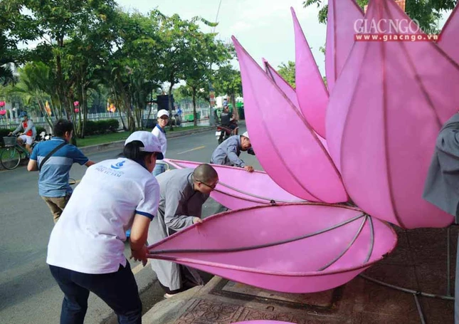 hathuy7sen (15 of 28).jpg