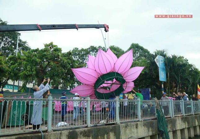 hathuy7sen (20 of 28).jpg