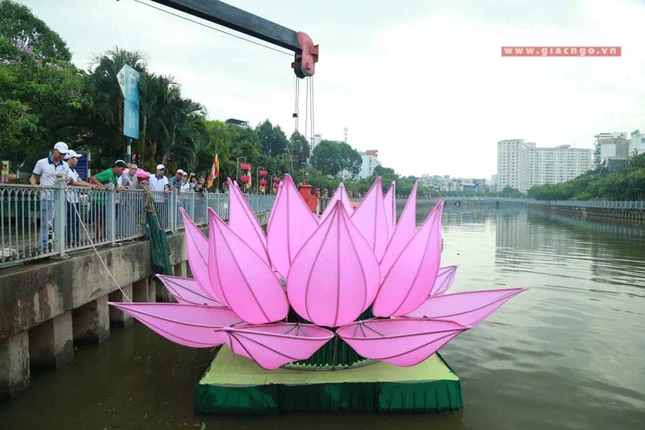 hathuy7sen (21 of 28).jpg