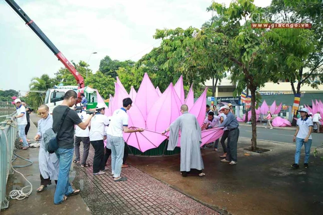 hathuy7sen (23 of 28).jpg