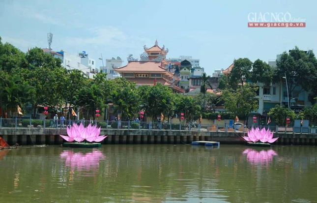 hathuy7sen (26 of 28).jpg