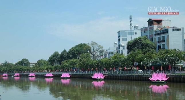 hathuy7sen (27 of 28).jpg