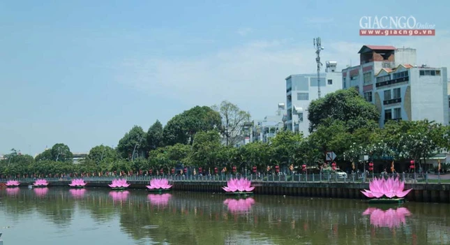 hathuy7sen (27 of 28).jpg