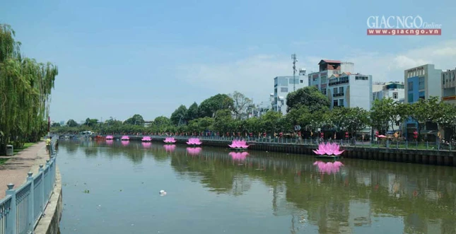 hathuy7sen (28 of 28).jpg