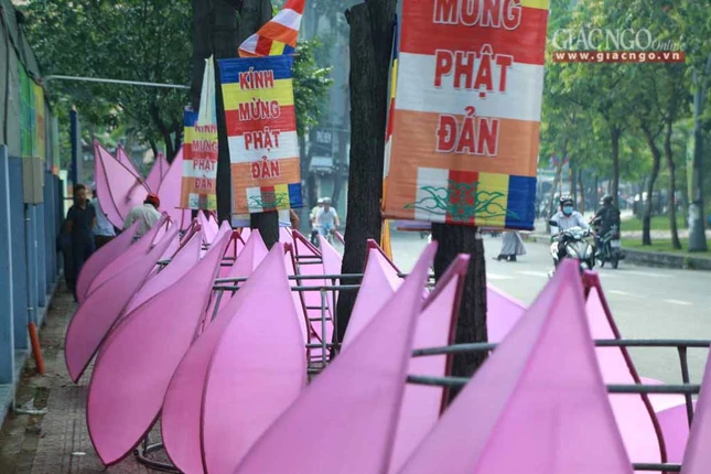 hathuy7sen (3 of 28).jpg