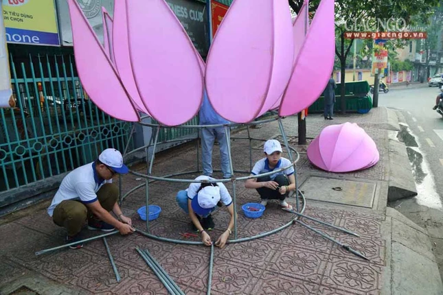 hathuy7sen (6 of 28).jpg