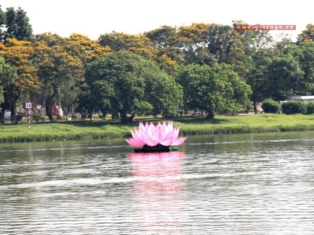 TT-Huế: Hạ thủy 7 hoa sen trên sông Hương ảnh 7 7.jpg