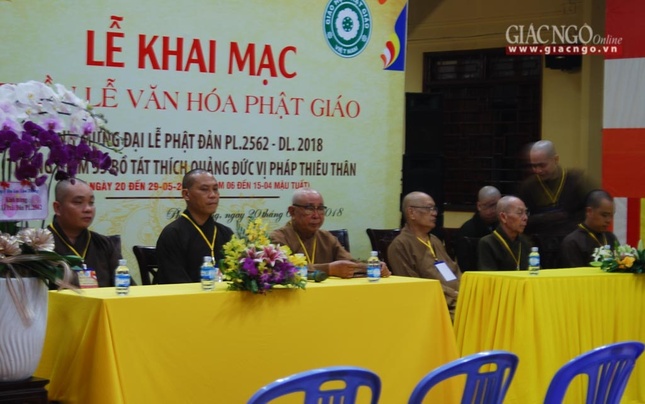 khaimacBVH (1 of 9).jpg