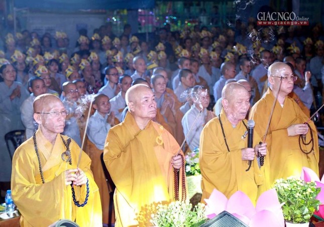 PN 19.jpg