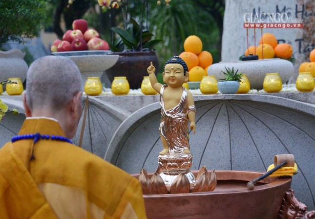 MocducHN2 (4 of 11).jpg