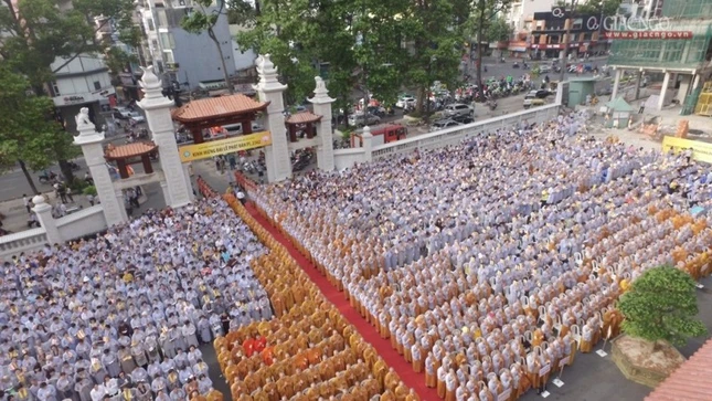 NGO  (18).jpg