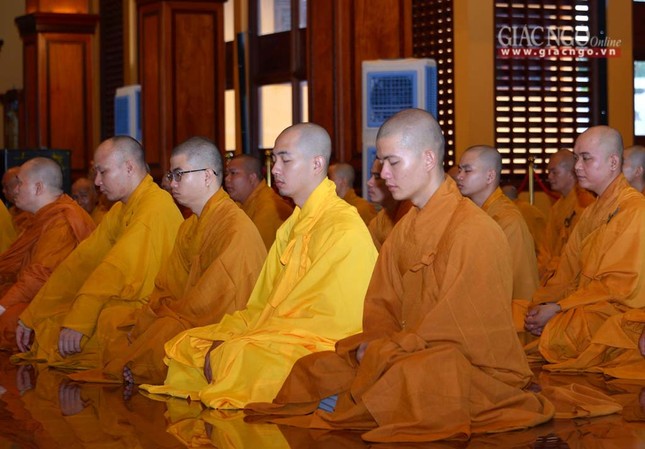 tacphapancu (10).jpg