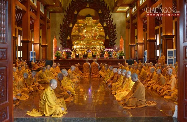 tacphapancu (11).jpg