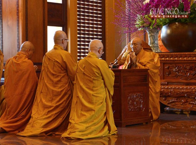 tacphapancu (13).jpg