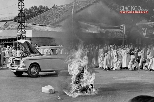 dautranh1963 (1 of 14).jpg