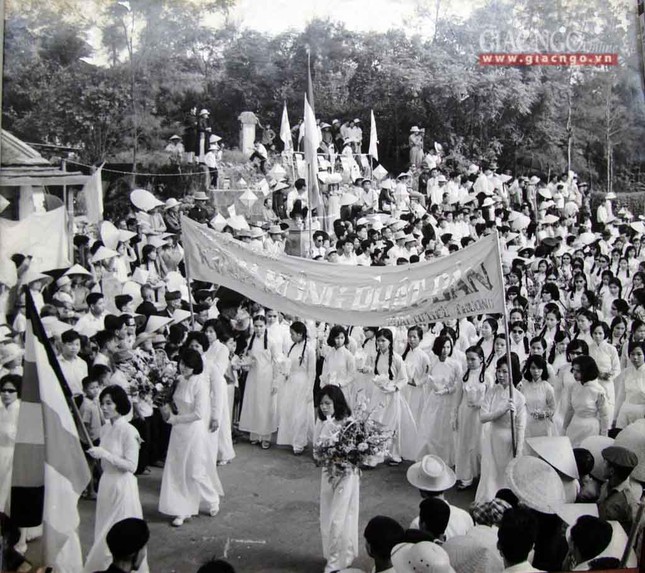 dautranh1963 (12 of 14).jpg