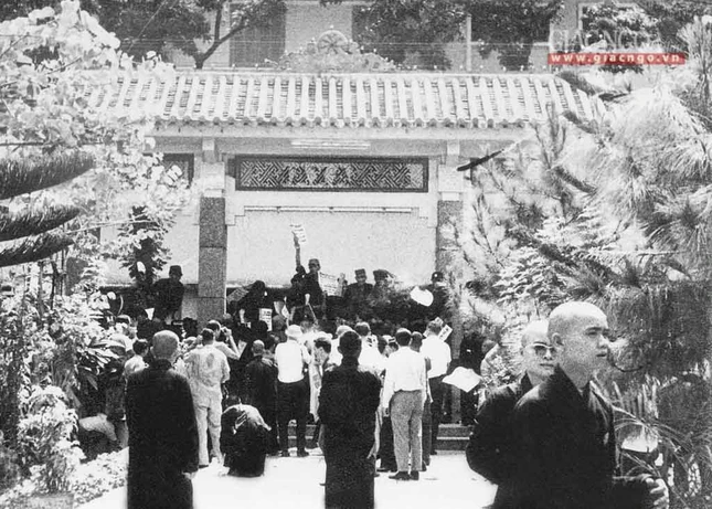 dautranh1963 (3 of 14).jpg