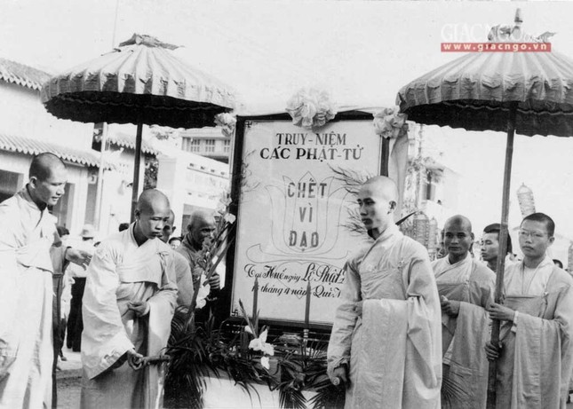 dautranh1963 (5 of 14).jpg