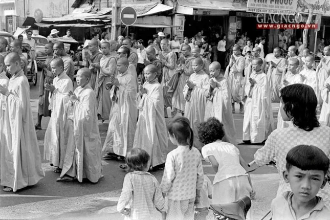 dautranh1963 (7 of 14).jpg