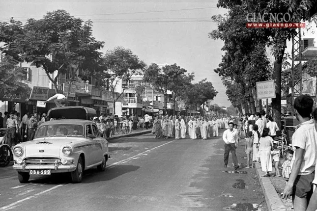 dautranh1963 (8 of 14).jpg