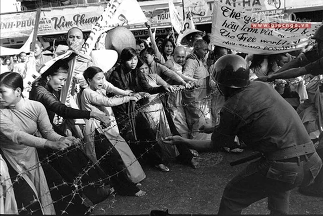 dautranh1963 (9 of 14).jpg