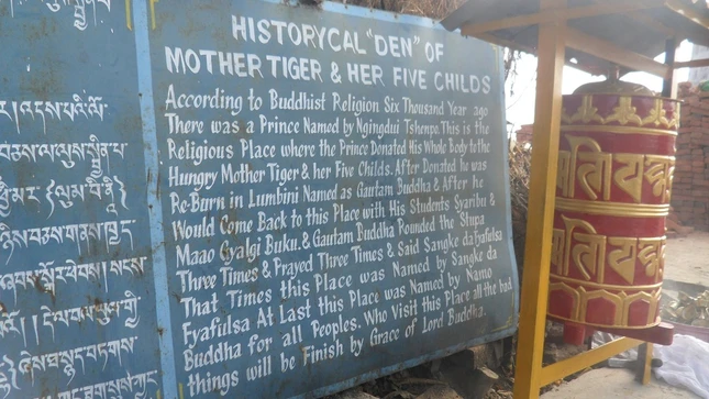 baothaptienthan (4).jpg