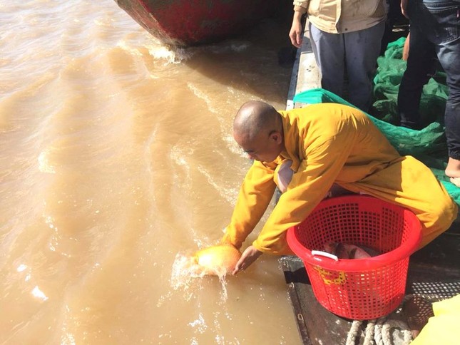 TT Quy phong sanh ca chep tren song Tien.jpg