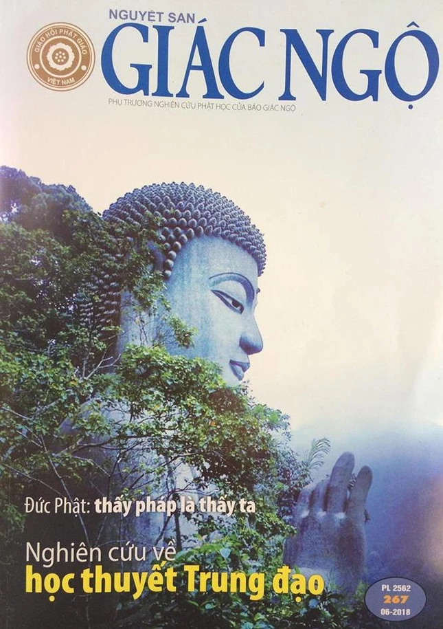 bia nsan.jpg