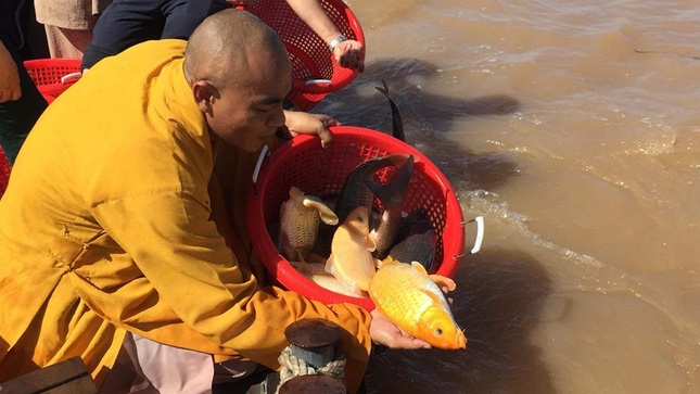 TT Quy phong sanh ca ve sonh  Tien.jpg