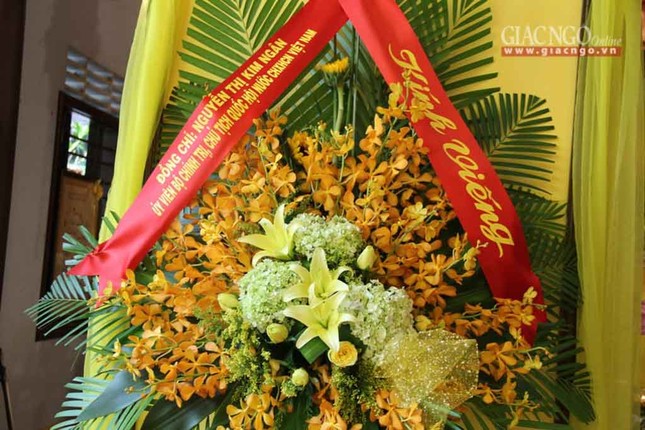 ViengtangHTDP (12 of 13).jpg