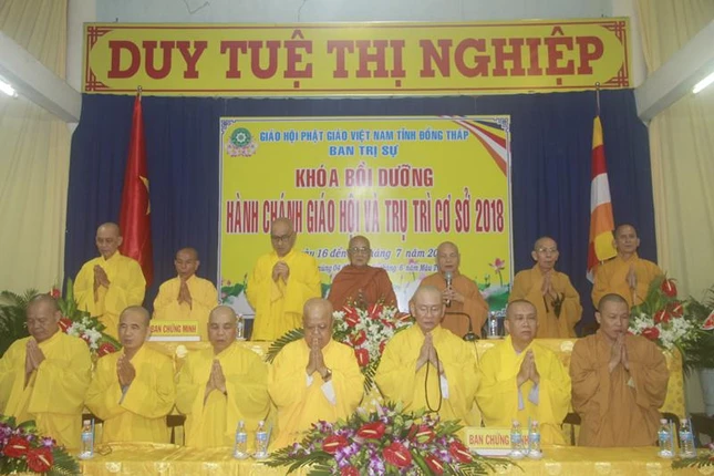 Dthap2.JPG