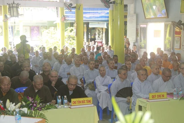Dthap4.JPG