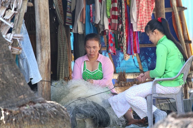 Hinh XH GN956 (2).jpg