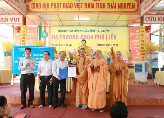thainguyen 1.jpg