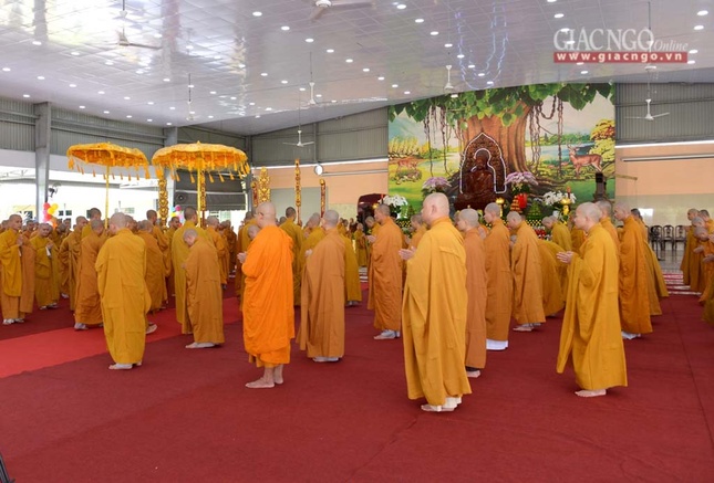 manha HV (1 of 10).jpg