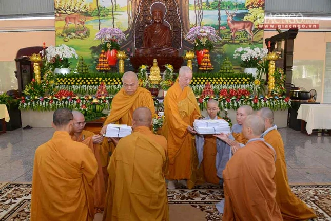 manha HV (10 of 10).jpg