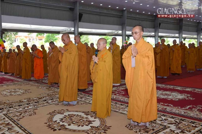 manha HV (2 of 10).jpg