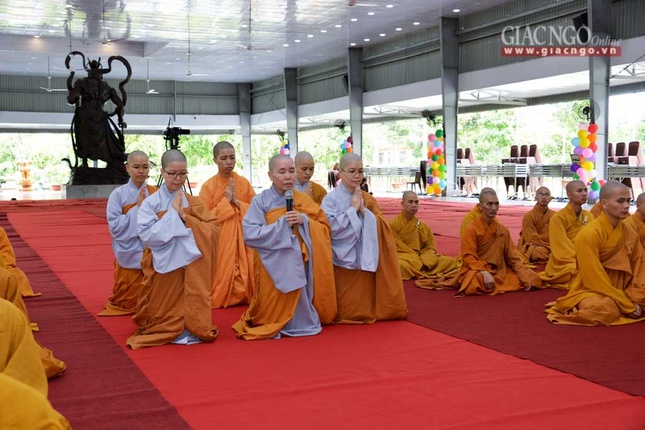 manha HV (4 of 10).jpg