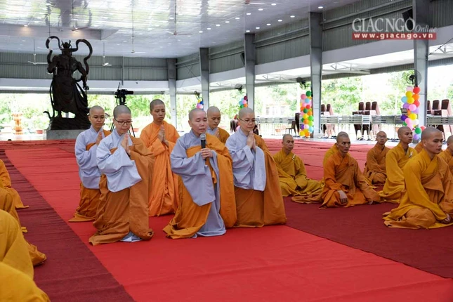 manha HV (4 of 10).jpg