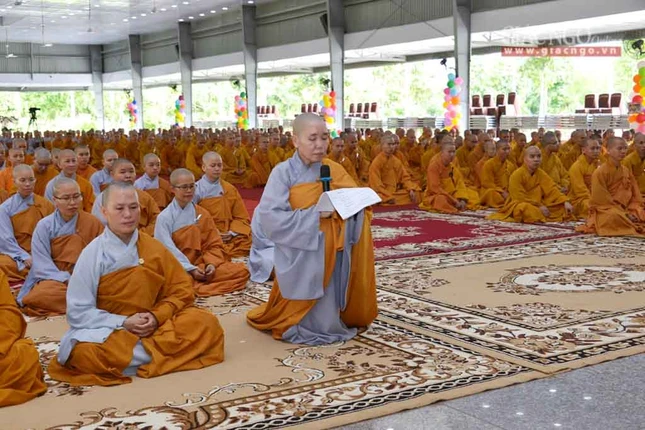 manha HV (6 of 10).jpg