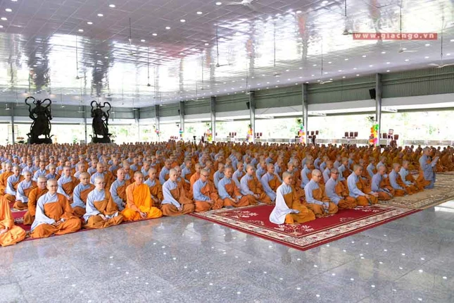 manha HV (7 of 10).jpg