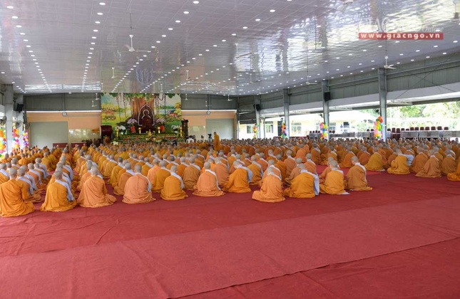 manha HV (9 of 10).jpg