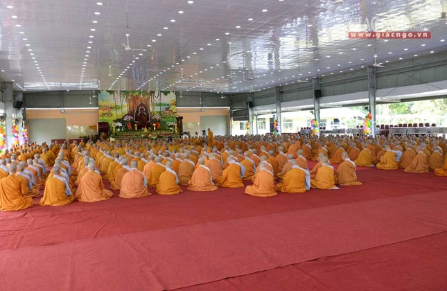 manha HV (9 of 10).jpg