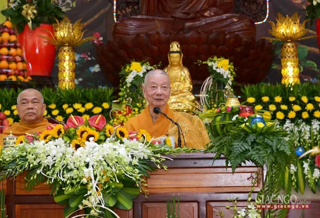 manhaHV (3 of 3).jpg