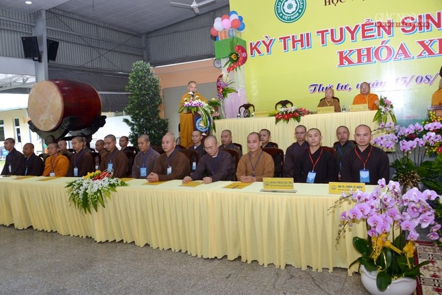 BTN_003.jpg